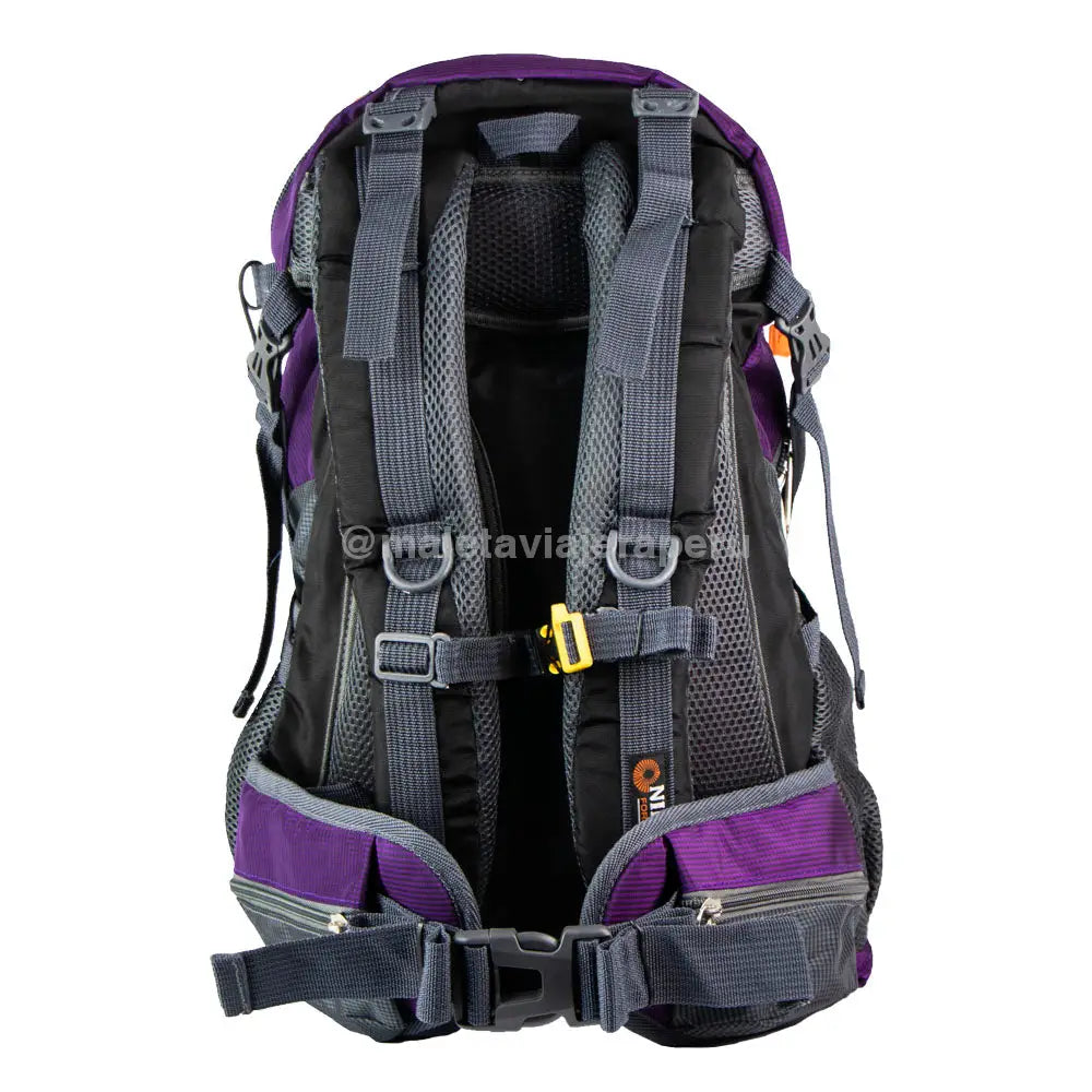 Mochila Electron 40Lt Nikko Equipment (Morado) Backpacks