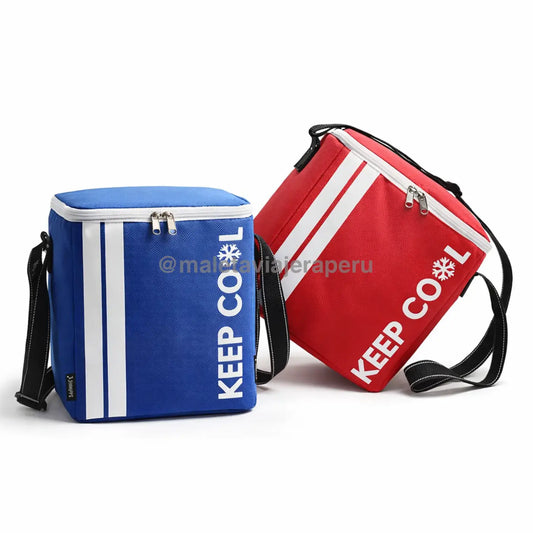 Cooler portátil térmico para playa picnic y viajes