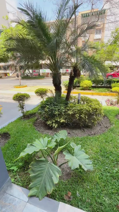 Mochila Outdoor Travel 22 Litros (Azul) - Ai One